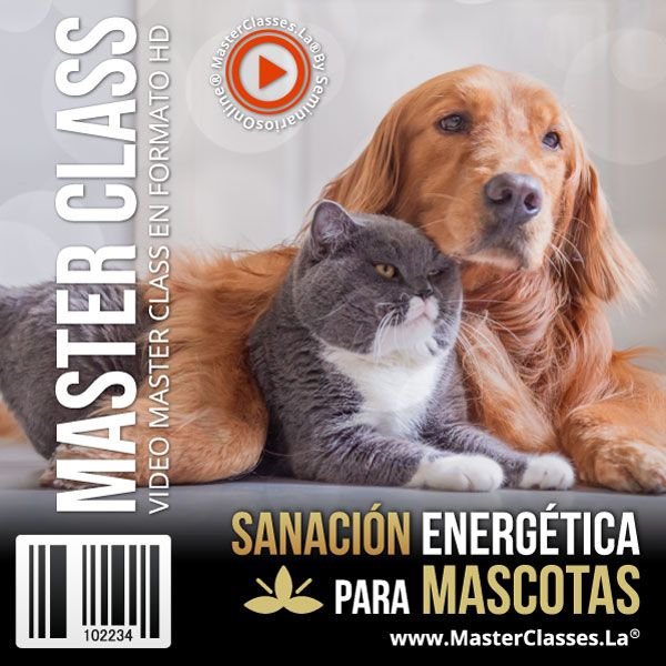 Sanación Energética para Mascotas 1