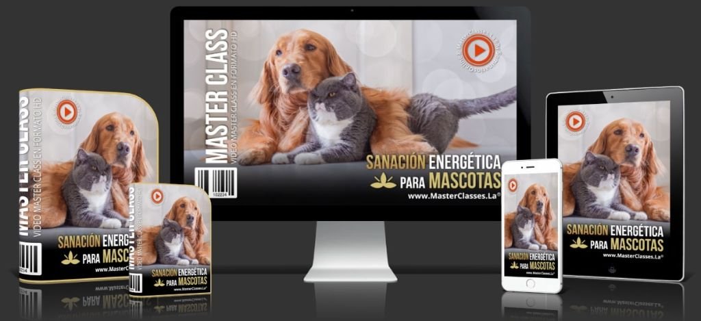 Sanación Energética para Mascotas 3