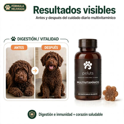 Multivitamínico diario O3