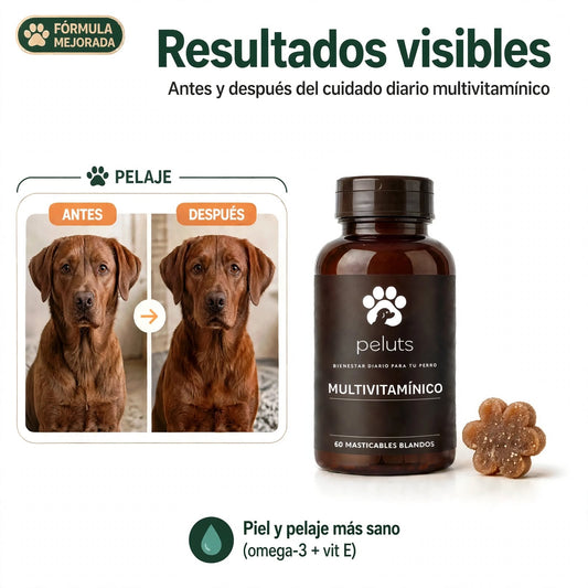 Multivitamínico diario O3